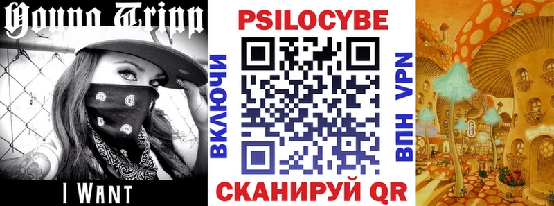 kraken ТОР  Верхотурье  Галлюциногенные грибы MAGIC MUSHROOMS 