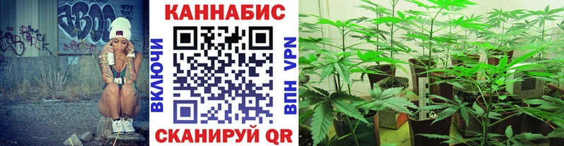 наркотики  Верхотурье  Канабис AK-47 